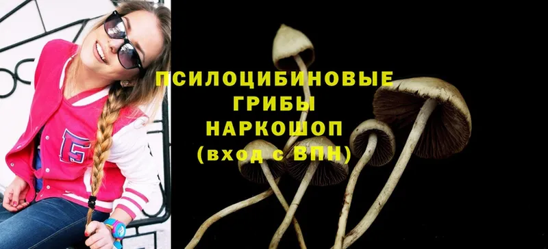 Галлюциногенные грибы Psilocybe  ссылка на мегу зеркало  Кремёнки  наркота 